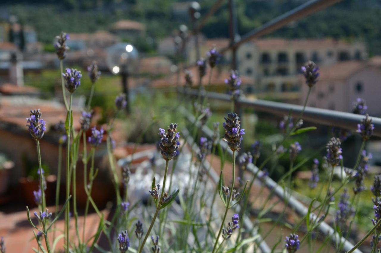 La Casa Di Giobatta Bed and Breakfast Tovo San Giacomo Εξωτερικό φωτογραφία