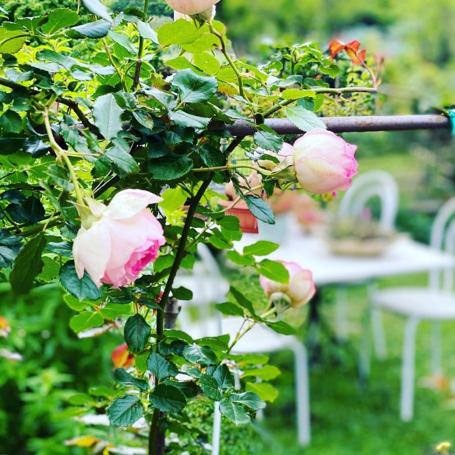 La Casa Di Giobatta Bed and Breakfast Tovo San Giacomo Εξωτερικό φωτογραφία