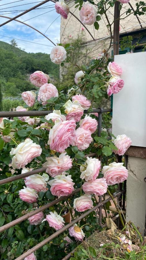 La Casa Di Giobatta Bed and Breakfast Tovo San Giacomo Εξωτερικό φωτογραφία
