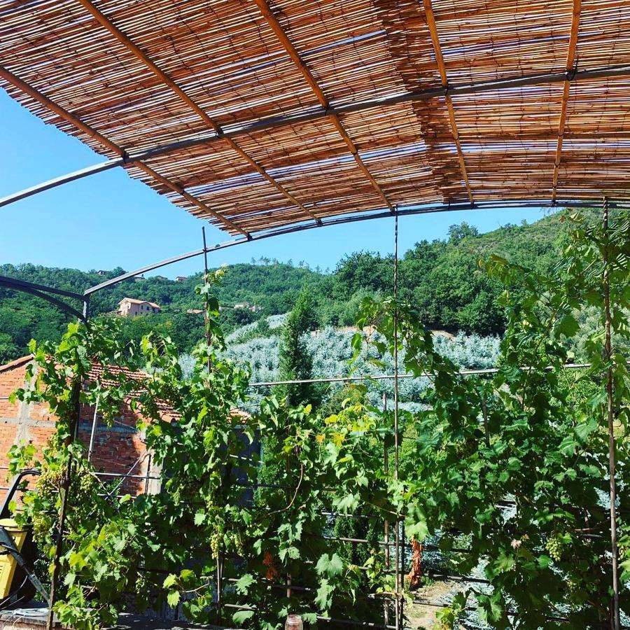 La Casa Di Giobatta Bed and Breakfast Tovo San Giacomo Εξωτερικό φωτογραφία